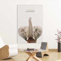 Affiche éléphant