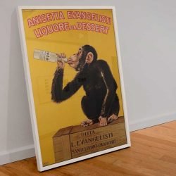 Affiche singe vintage