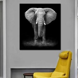 Tableau éléphant noir et blanc