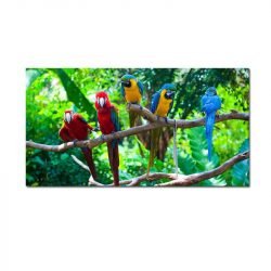 Toile perroquets jungle