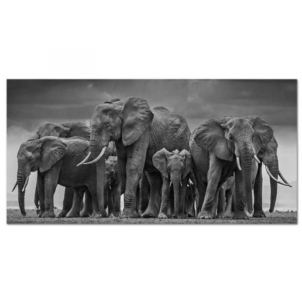 Toile troupeau éléphants