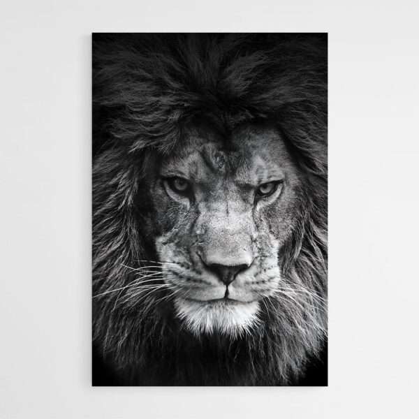 tableau lion contemporain