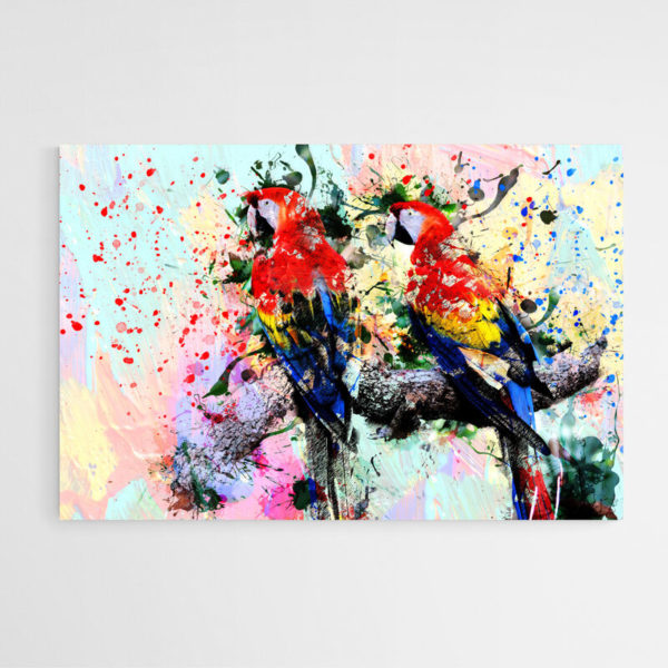 tableau perroquet multicolore mur blanc