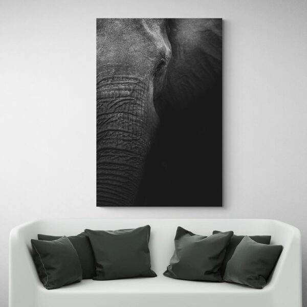 Tableau Photo elephant canape blanc