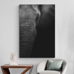 Tableau Photo elephant deco minimaliste