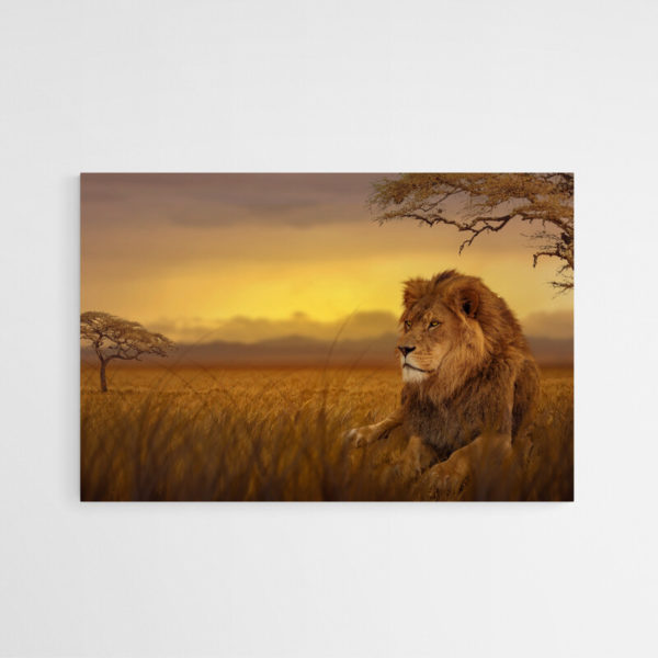 tableau lion savane