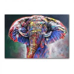 Toile éléphant multicolore