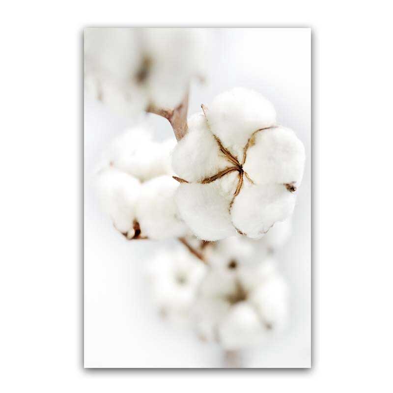 Tableau Fleur de Coton | Tableaux du Monde