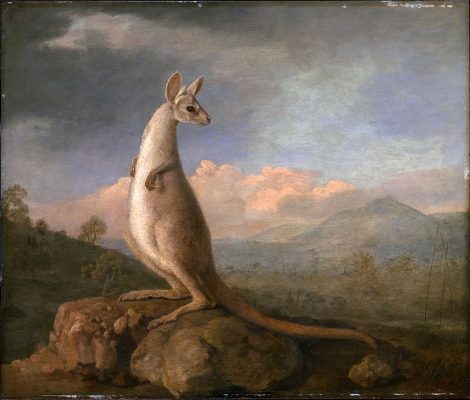 peinture kangourou art