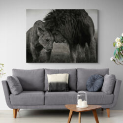 tableau couple lion 1