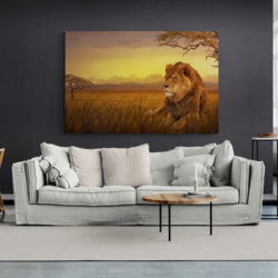 tableau lion savane salon cosy