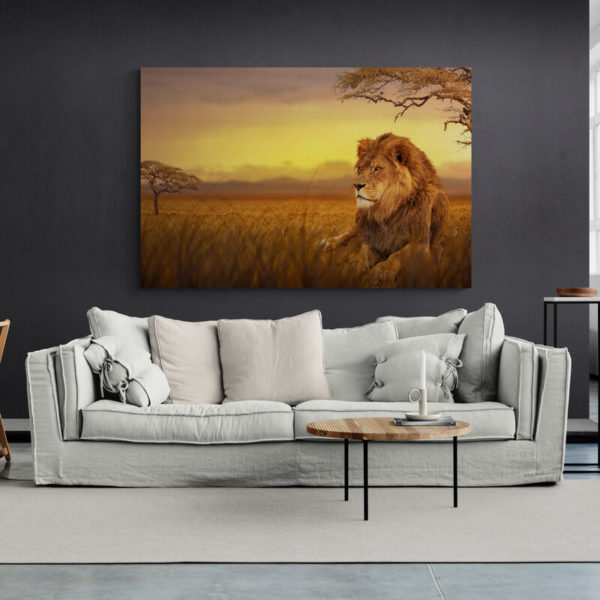tableau lion savane salon cosy