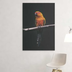 Tableau perroquet orange