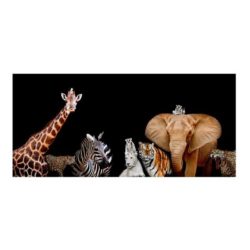 Tableau sur toile animaux d'Afrique