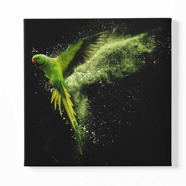 Tableau sur toile perroquet vert
