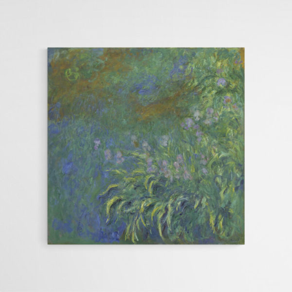 Iris Monet