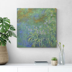 Monet iris