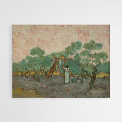 Tableau Femme Cueillant des Olives Van Gogh