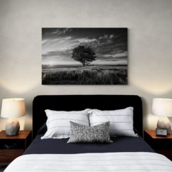 Tableau arbre noir et blanc chambre