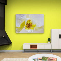 tableau deco fleur orchidee