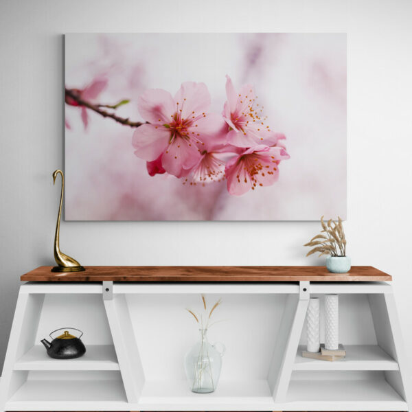 tableau fleur de cerisier