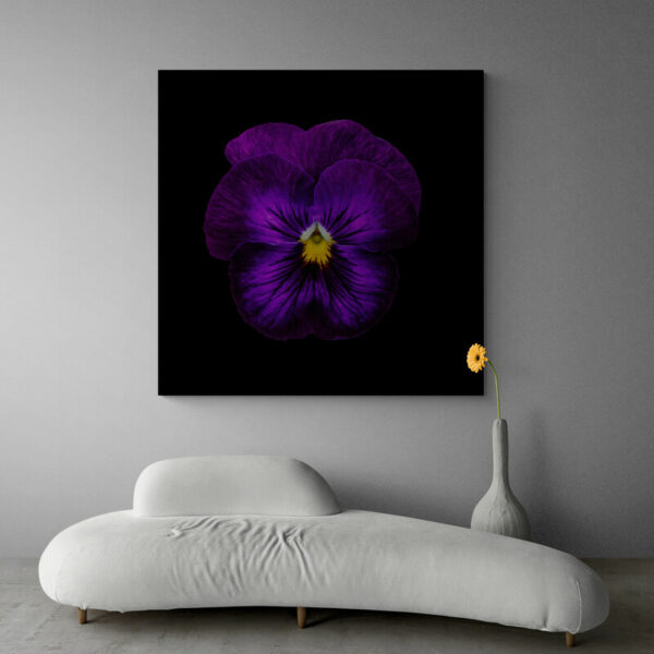 tableau fleur violette