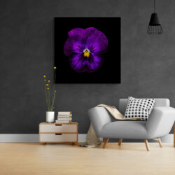 tableau fleur violette salon