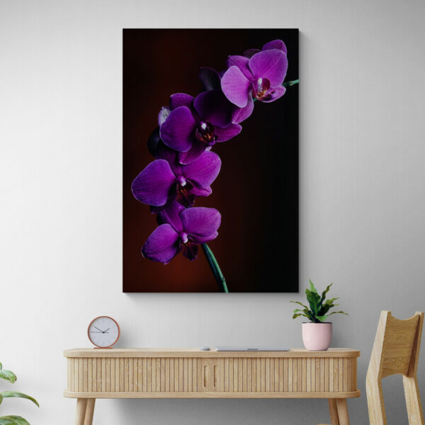 tableau orchidee violet