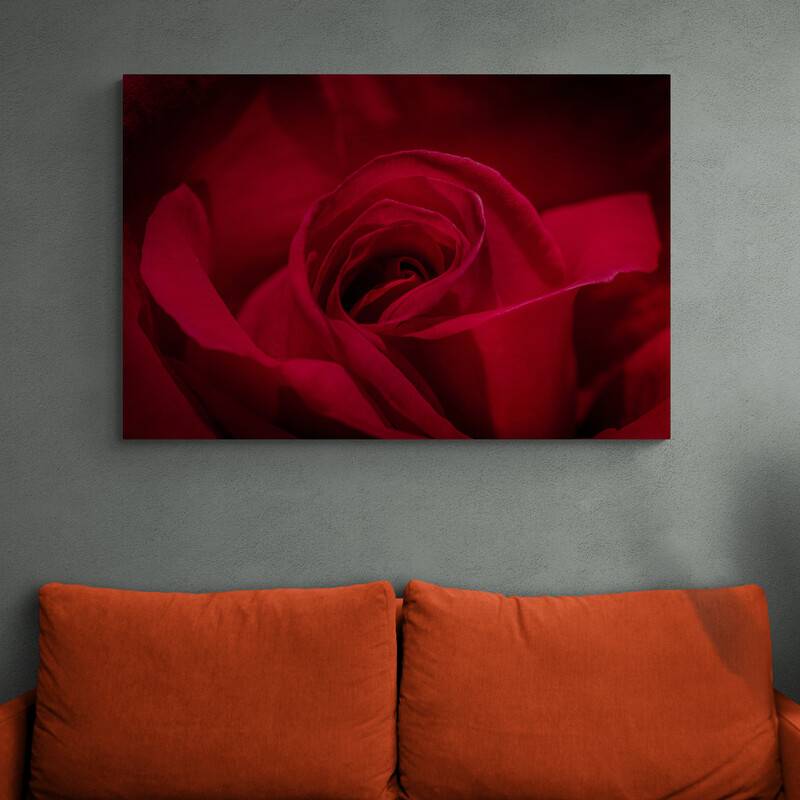Tableau Rose Rouge Dans Le Noir - 50 X 50 Cm à Prix Carrefour