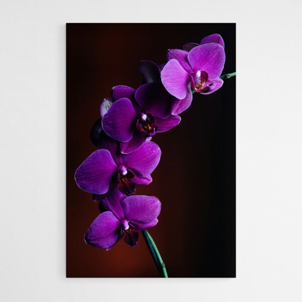 tableau sur toile orchidee violet