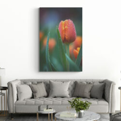 tableau tulipe moderne