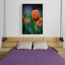 tableau tulipe moderne chambre 1