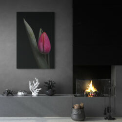 tableau tulipe rouge salon