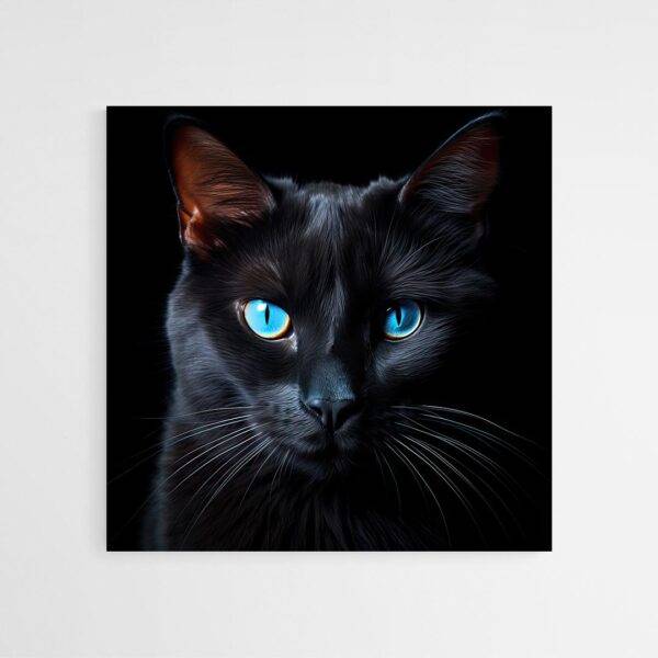 tableau chat noir yeux bleus