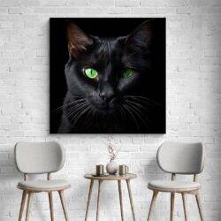 tableau chat noir yeux verts salon et chaises