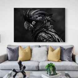grand tableau perroquet noir canape