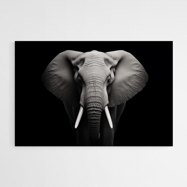 tableau elephant noir et blanc 2