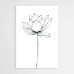 fleur de lotus dessin minimaliste 1 1.webp