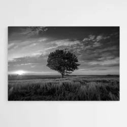Tableau Arbre Noir et Blanc 1.webp