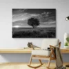 Tableau Arbre Noir et Blanc paysage 3 2 3.webp