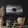 Tableau Arbre Noir et Blanc paysage 3 2 4.webp