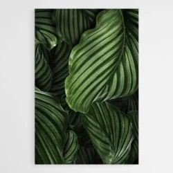 Tableau Feuille Verte 1.webp