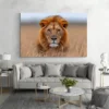 Tableau Lion Savane paysage 3 2 3.webp