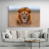 Tableau Lion Savane paysage 3 2 4.webp