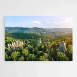 Tableau Paysage Foret 1.webp