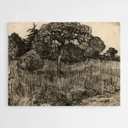 arbre van gogh 1.webp