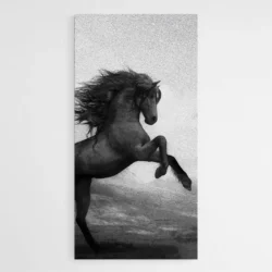 peinture cheval qui se cabre 1.webp