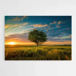 tableau arbre coucher de soleil 1.webp