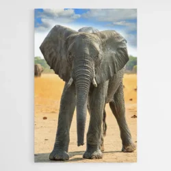 tableau bebe elephant 1.webp