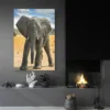 tableau bebe elephant portrait 2 3 3.webp